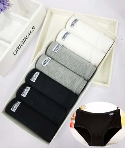 Cotton Comfort™ 7-Pack Everyday Briefs – Plus Size Soft Stretch Underwear