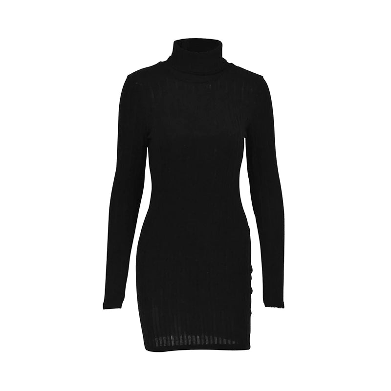 Velvet Nights Ribbed Turtleneck Mini Dress