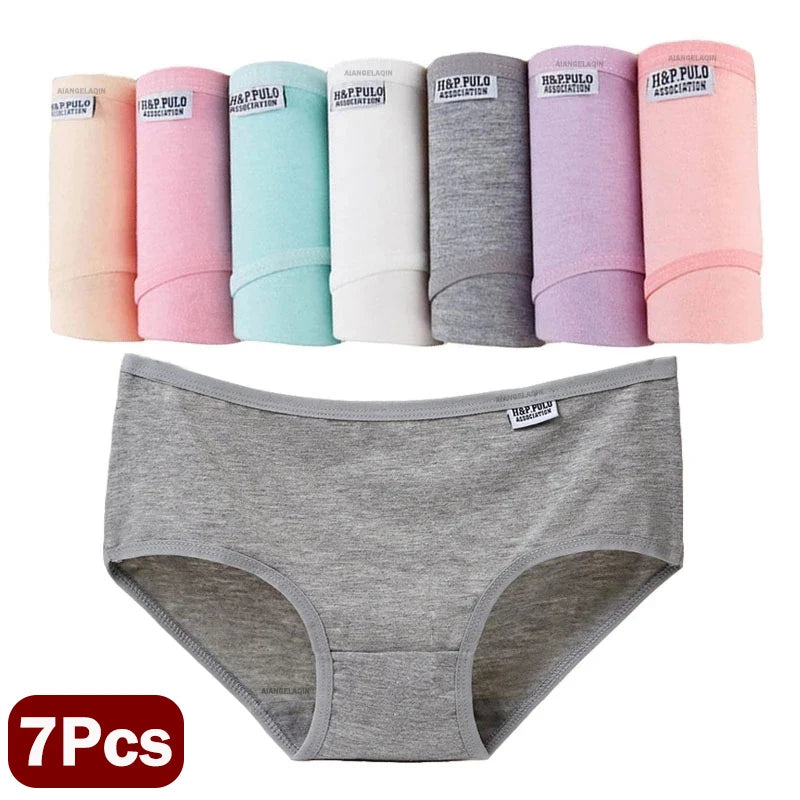 Cotton Comfort™ 7-Pack Everyday Briefs – Plus Size Soft Stretch Underwear