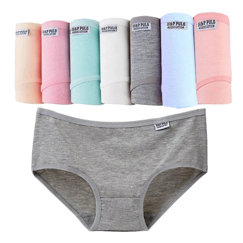 Cotton Comfort™ 7-Pack Everyday Briefs – Plus Size Soft Stretch Underwear